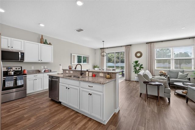 11411 TANGLE BRANCH LANE, Gibsonton, FL 33534