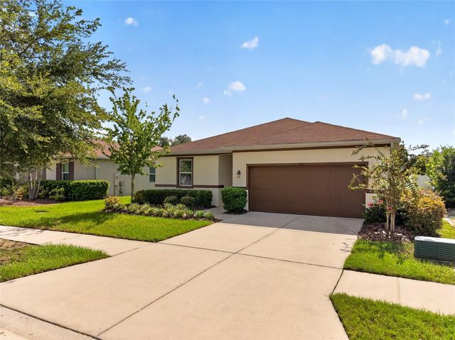 11411 TANGLE BRANCH LANE, Gibsonton, FL 33534