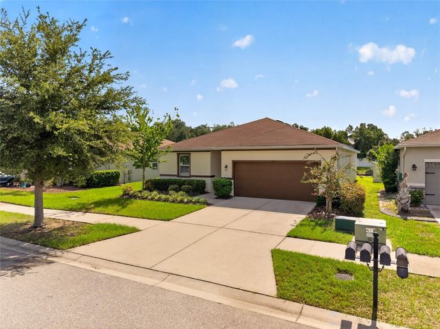 11411 TANGLE BRANCH LANE, Gibsonton, FL 33534