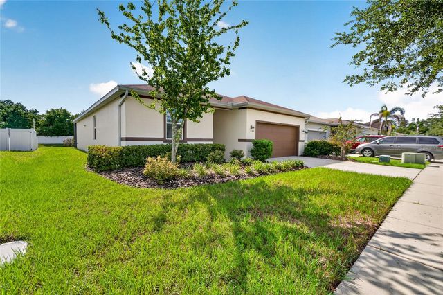 11411 TANGLE BRANCH LANE, Gibsonton, FL 33534