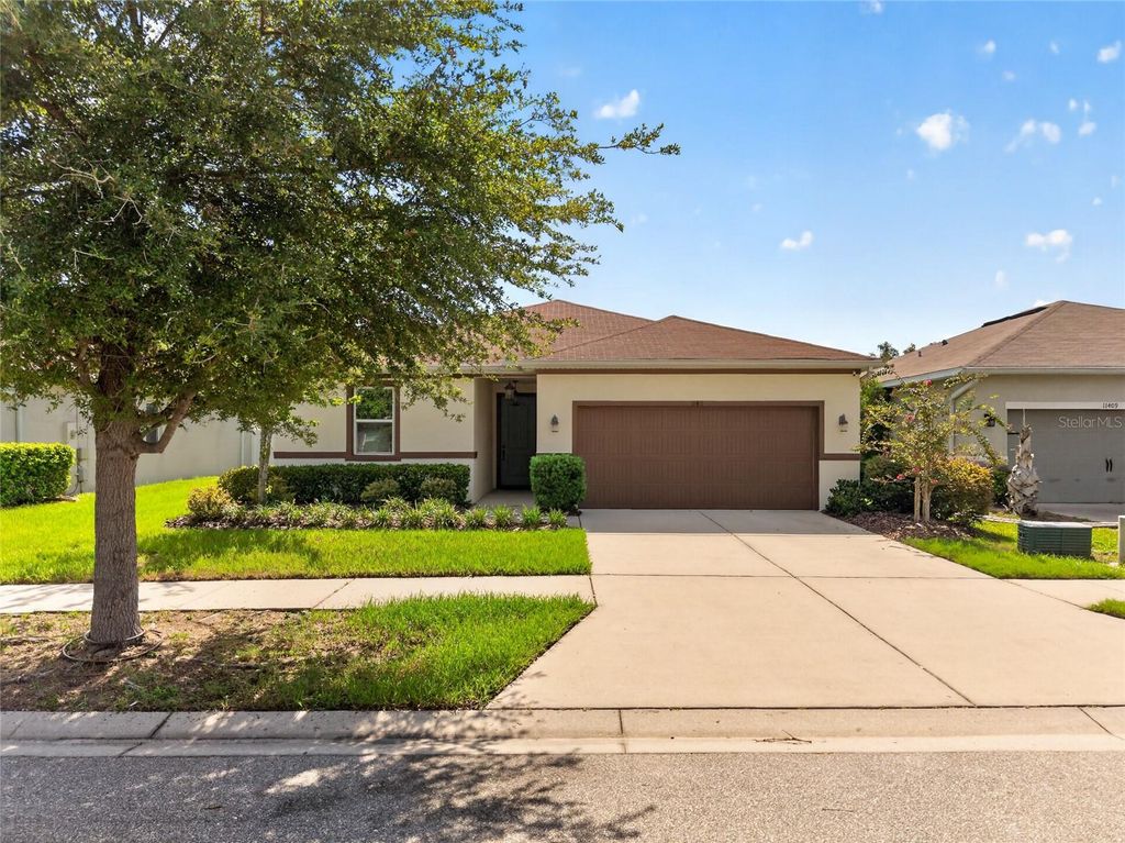 11411 TANGLE BRANCH LANE, Gibsonton, FL 33534