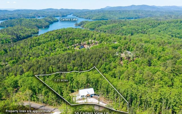 56 Carters View Lane, Ellijay, GA 30540