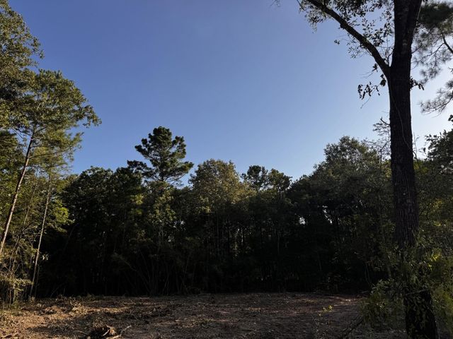TBD Stillwater Cove Drive, Montgomery, TX 77356