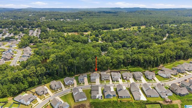 425 WISHFORD CIRCLE, Helena, AL 35080