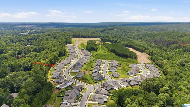 425 WISHFORD CIRCLE, Helena, AL 35080