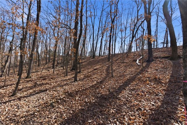 Lot 73 Cedar Ridge, Garfield, AR 72732