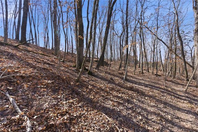 Lot 73 Cedar Ridge, Garfield, AR 72732