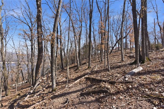 Lot 73 Cedar Ridge, Garfield, AR 72732