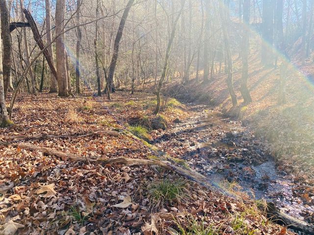 Lot 205 Windy Mountain Peak Lane, Murphy, NC 28906
