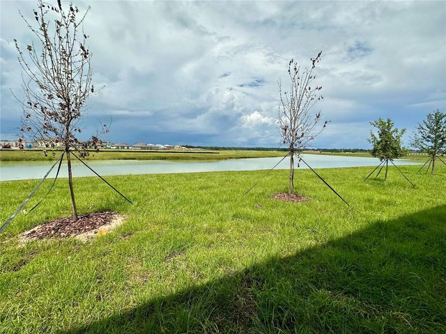 11131 RADIANT SHORE LOOP, San Antonio, FL 33576