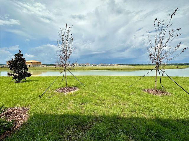 11131 RADIANT SHORE LOOP, San Antonio, FL 33576