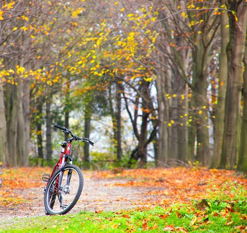 2624 Lucent Drive, Mckinney, TX 75072