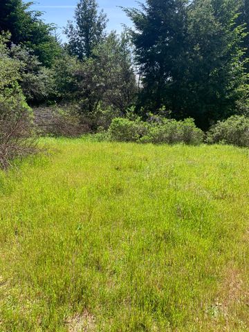 454 & 476 Forest Road, Shelter Cove, CA 95589