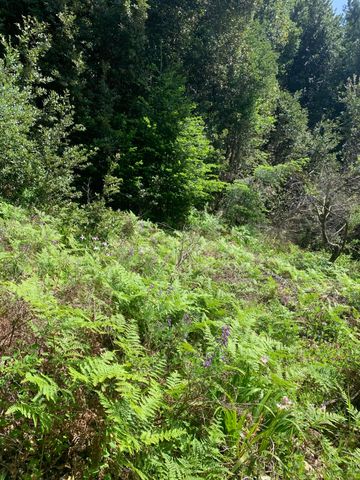 454 & 476 Forest Road, Shelter Cove, CA 95589