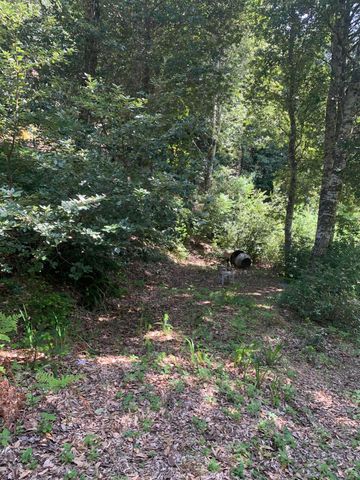 454 & 476 Forest Road, Shelter Cove, CA 95589