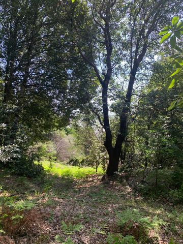 454 & 476 Forest Road, Shelter Cove, CA 95589