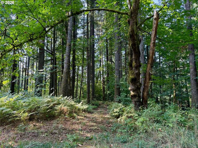 39143 Se GIBSON Rd, Washougal, WA 98671