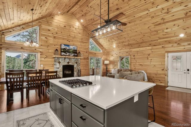 66 Territory Drive, Pine, CO 80470