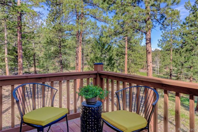66 Territory Drive, Pine, CO 80470