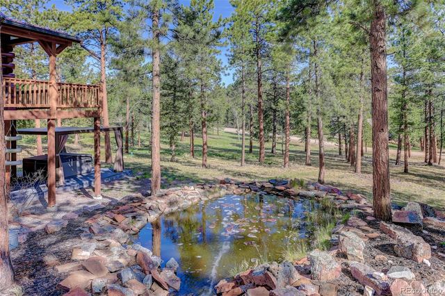 66 Territory Drive, Pine, CO 80470