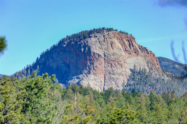 66 Territory Drive, Pine, CO 80470