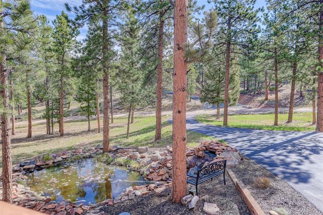 66 Territory Drive, Pine, CO 80470