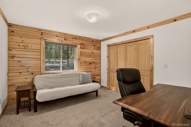 66 Territory Drive, Pine, CO 80470