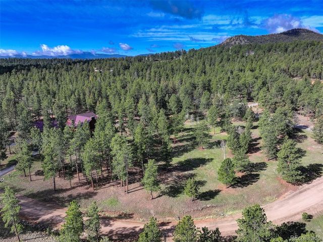 66 Territory Drive, Pine, CO 80470