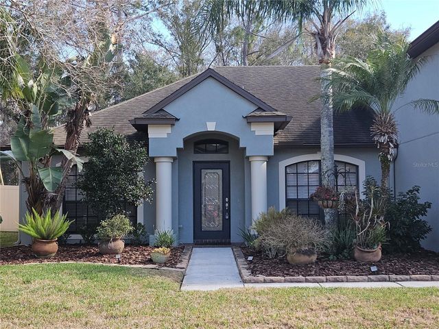 10740 RAIN LILLY PASS, Land O Lakes, FL 34638