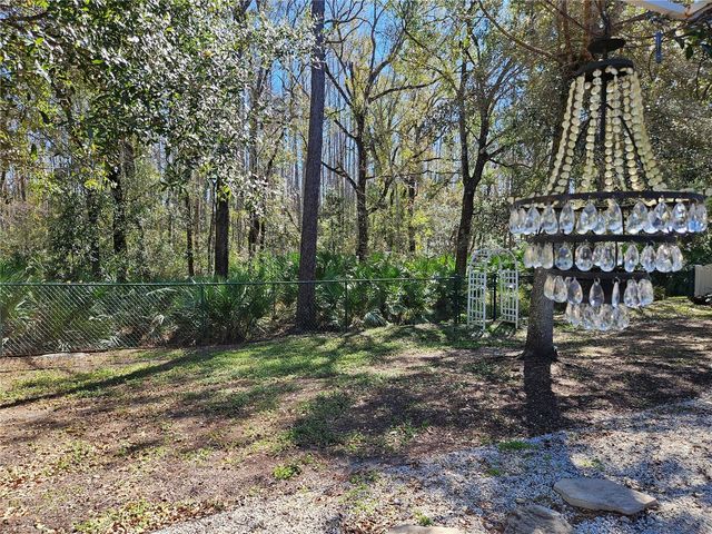 10740 RAIN LILLY PASS, Land O Lakes, FL 34638