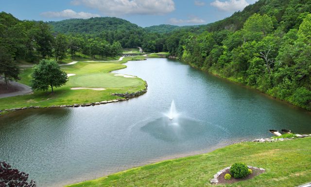 860 Silvercliff Way, Branson West, MO 65737