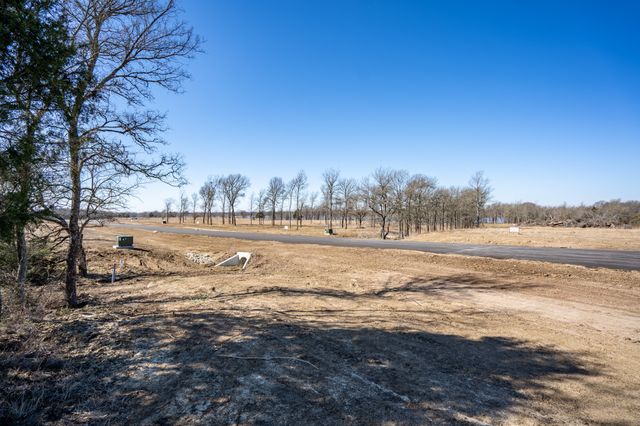 Lot 20 Lago Vista Drive, East Tawakoni, TX 75472