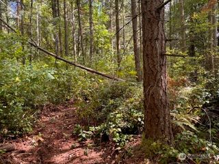 0 Chuckawa Lane SW, Yelm, WA 98597