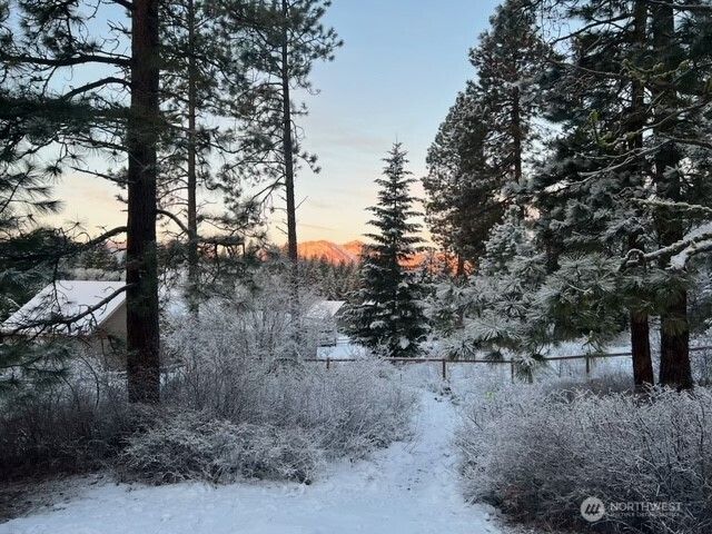 161 Paintbrush Lane, Ronald, WA 98940