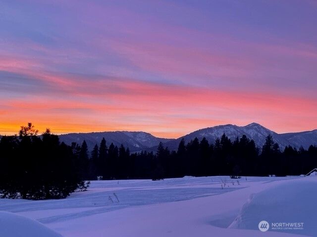 161 Paintbrush Lane, Ronald, WA 98940