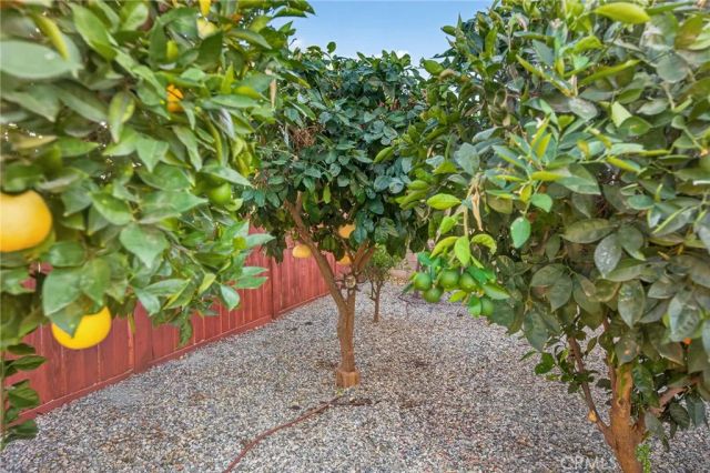 30392 Terrain, Murrieta, CA 92563