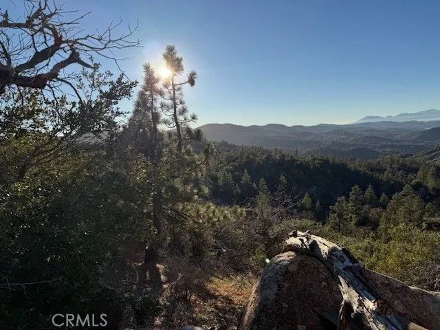 340 Bobcat Road, Green Valley Lake, CA 92314