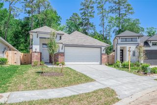 32045 Towering Birch Trail, Conroe, TX 77385