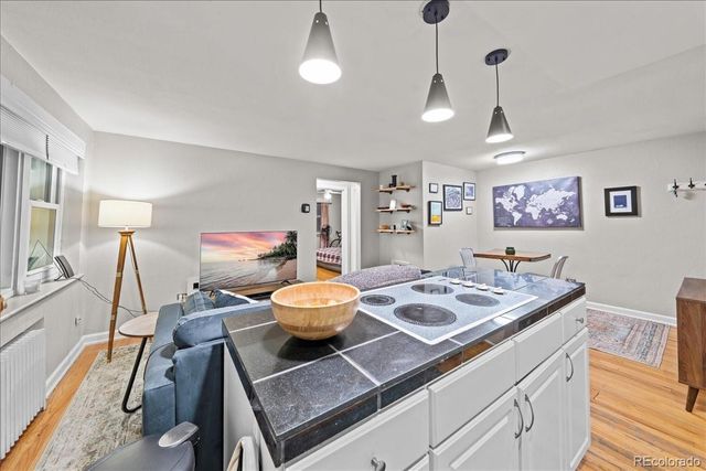 505 N Logan Street 11, Denver, CO 80203