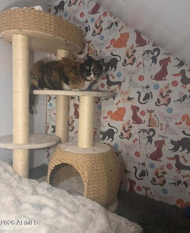 7562 E PORTOBELLO Avenue, Mesa, AZ 85212