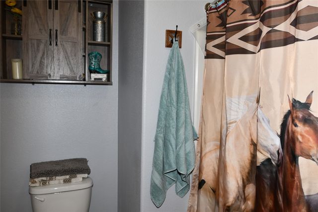 215 Dodge City Trail, Newark, TX 76071