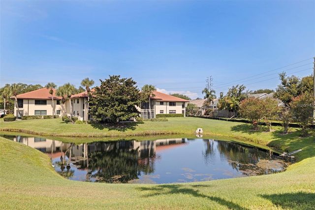 809 HAMMOCK PINE BOULEVARD, Clearwater, FL 33761