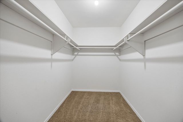 3703 Roseland Street 03, Houston, TX 77006