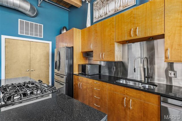 901 Washington Avenue 309, St Louis, MO 63101