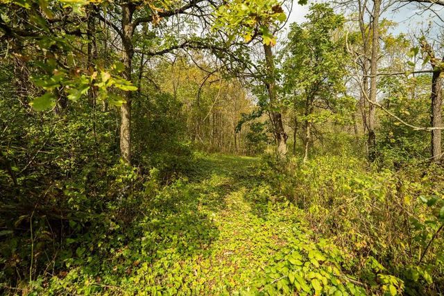 E11695 Chadwick Hollow Road, Viola, WI 54664