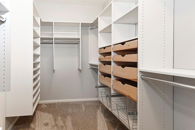 6 Thornbush Place, The Woodlands, TX 77381