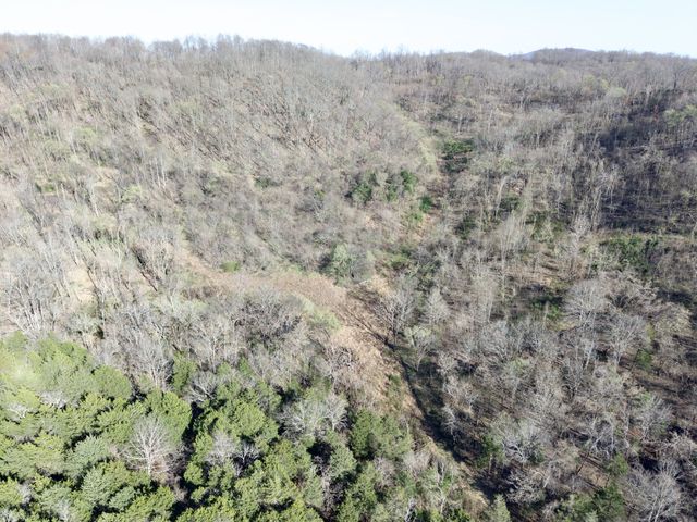 3780 Hurricane Creek Rd, Woodbury, TN 37190