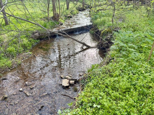 3780 Hurricane Creek Rd, Woodbury, TN 37190