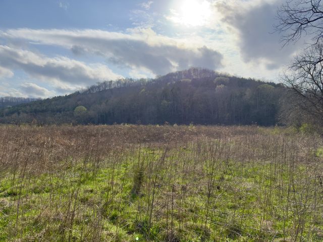 3780 Hurricane Creek Rd, Woodbury, TN 37190