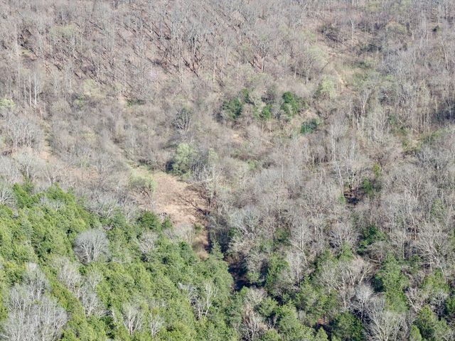 3780 Hurricane Creek Rd, Woodbury, TN 37190